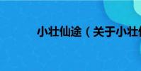 小壯仙途(關于小壯仙途簡介)