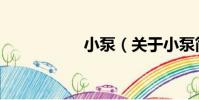 小泵(關于小泵簡介)