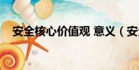 安全核心價值觀 意義(安全核心價值觀)
