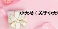 小天馬(關于小天馬簡介)