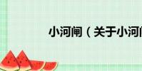 小河閘(關于小河閘簡介)