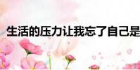 生活的壓力讓我忘了自己是誰改編自誰的歌