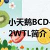 小天鵝BCD-302WTL（關于小天鵝BCD-302WTL簡介）
