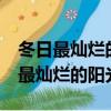 冬日最燦爛的陽光下一倍 明曉溪 小說（冬日最燦爛的陽光）