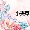 小夾草溝（關于小夾草溝簡介）