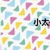 小太保（關于小太保簡介）