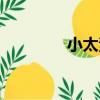 小太素（關于小太素簡介）