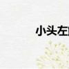 小頭左鮃（關于小頭左鮃簡介）