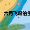 六月飛霜的生肖（六月飛霜開過什么生肖）