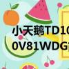 小天鵝TD100V81WDG（關于小天鵝TD100V81WDG簡介）