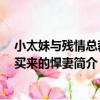 小太妹與殘情總裁：買來的悍妻（關于小太妹與殘情總裁：買來的悍妻簡介）