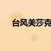 臺風美莎克云圖（9號臺風美莎克生成）