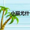 小貓尤什卡（關于小貓尤什卡簡介）