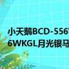 小天鵝BCD-556WKGL月光銀馬蹄蓮（關于小天鵝BCD-556WKGL月光銀馬蹄蓮簡介）