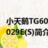 小天鵝TG60-1029E(S)（關于小天鵝TG60-1029E(S)簡介）