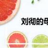 劉徹的母親是二婚（劉徹的母親）