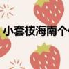 小套桉海南個體（關于小套桉海南個體簡介）