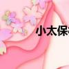 小太保村（關于小太保村簡介）