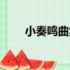 小奏鳴曲集（關于小奏鳴曲集簡介）