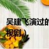 吳建飛演過的電視劇叫什么（吳建飛演過的電視劇）