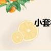 小套村（關于小套村簡介）