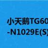 小天鵝TG60-N1029E(S)（關于小天鵝TG60-N1029E(S)簡介）