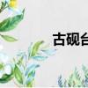 古硯臺的市場價值（古硯臺）