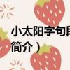 小太陽字句段篇 下（關于小太陽字句段篇 下簡介）
