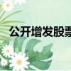 公開增發股票是利好還是利空（公開增發）