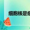 細胞核是細胞的代謝中心嗎（細胞核）