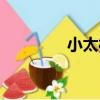 小太村（關于小太村簡介）