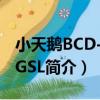 小天鵝BCD-206GSL（關于小天鵝BCD-206GSL簡介）