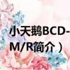 小天鵝BCD-175M/R（關于小天鵝BCD-175M/R簡介）