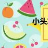 小頭發（關于小頭發簡介）