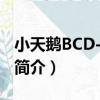 小天鵝BCD-192M（關于小天鵝BCD-192M簡介）