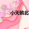 小天鵝北苑（關于小天鵝北苑簡介）