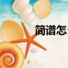 簡譜怎么看圖解（簡譜怎么看）