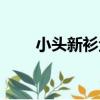 小頭新衫魚（關于小頭新衫魚簡介）