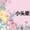 小頭橐吾（關于小頭橐吾簡介）