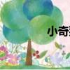 小奇貓（關于小奇貓簡介）
