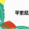 平索尼奧（關于平索尼奧介紹）