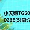 小天鵝TG60-1026E(S)（關于小天鵝TG60-1026E(S)簡介）