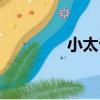 小太爺（關于小太爺簡介）