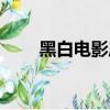 黑白電影周揚歌詞（黑白電影周揚）