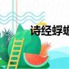 詩經蜉蝣原文及翻譯（詩經蜉蝣）