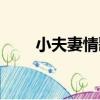 小夫妻情歌（關于小夫妻情歌簡介）