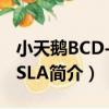小天鵝BCD-206SLA（關于小天鵝BCD-206SLA簡介）