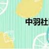 中羽社區賽事球星（賽事球星）