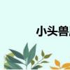 小頭獸屬（關于小頭獸屬簡介）