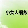 小女人細故事（關于小女人細故事簡介）